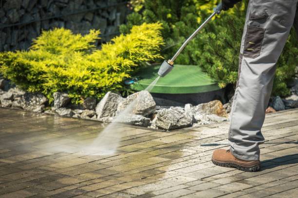 Best Gutter Cleaning and Brightening in Edenton, NC